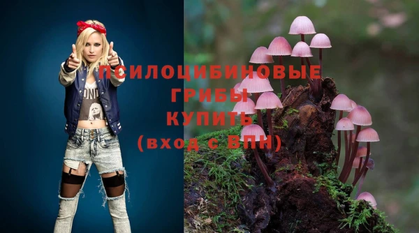альфа пвп Баксан