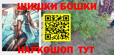 крисы Кунгур