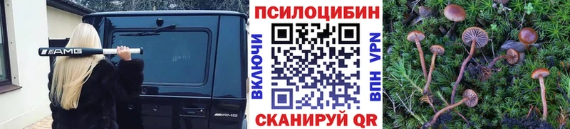 Псилоцибиновые грибы ЛСД  Рыбинск 