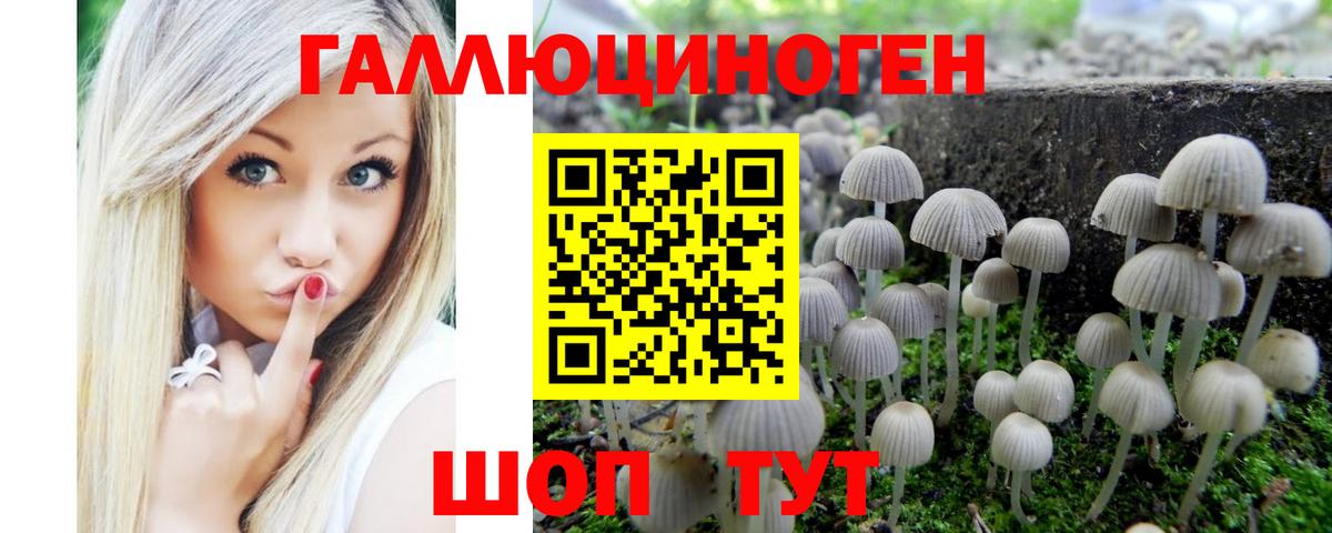 Рыбинск  Галлюциногенные грибы Psilocybe  Псилоцибиновые грибы мицелий  Вход с VPN 